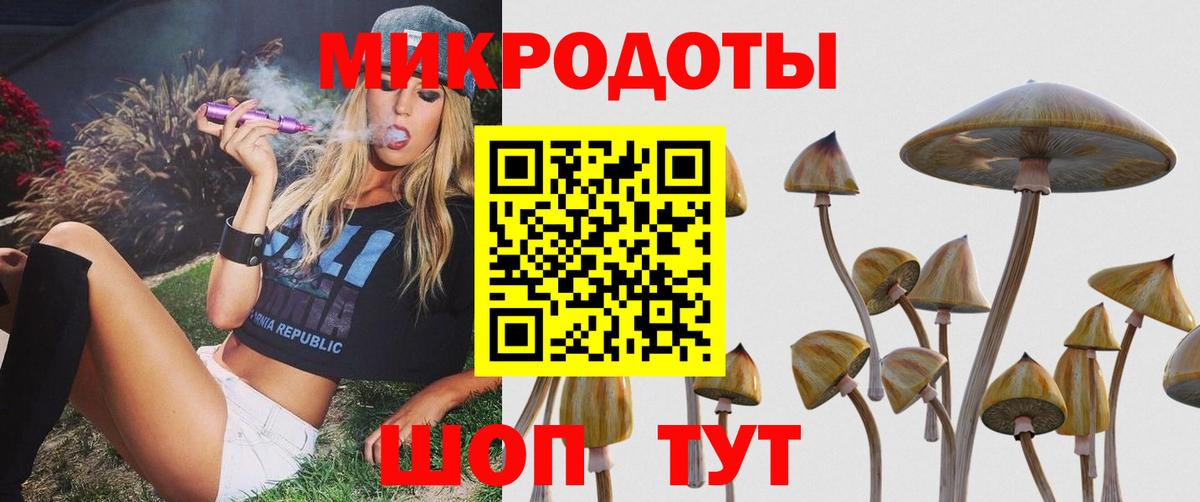 Кудрово  где купить наркоту  Вход с VPN  Псилоцибиновые грибы GOLDEN TEACHER 